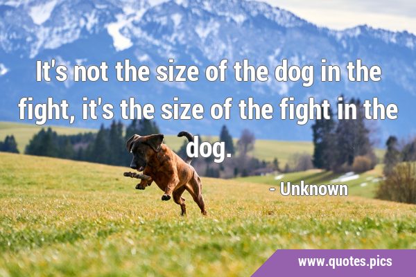 It's not the size of the dog in the fight, it's the size of the fight ...