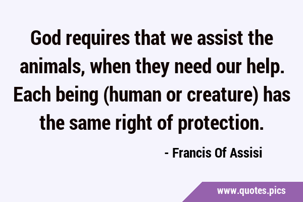 God requires that we assist the animals, when they need our help. Each  being (human or creature) has the same right of protection.