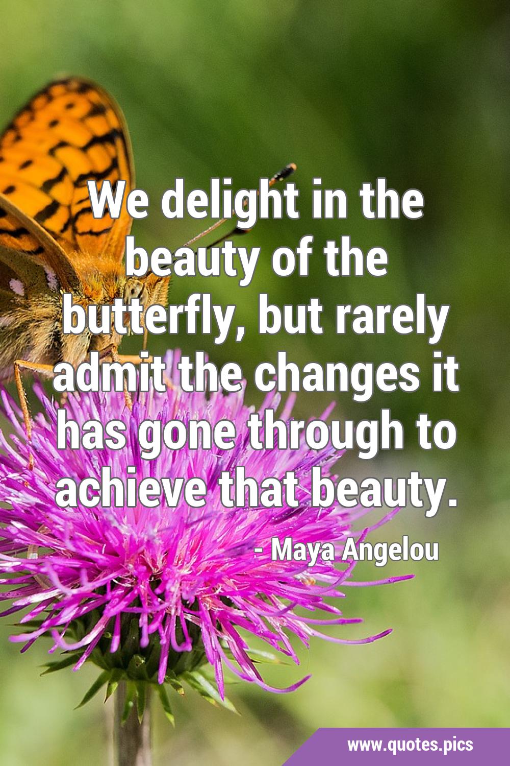 We delight in the beauty of the butterfly, but rarely admit the changes ...