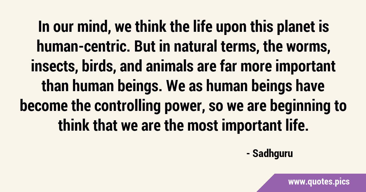 In our mind, we think the life upon this planet is human-centric. But in  natural terms, the worms, insects, birds, and animals are far more important