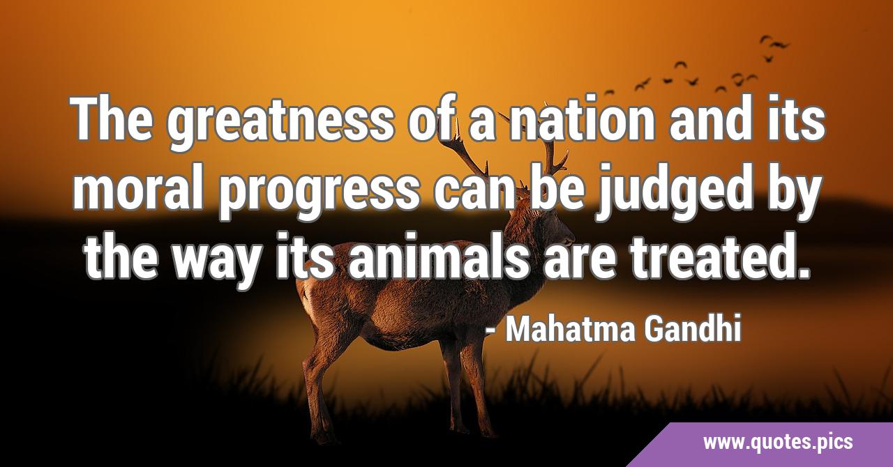 The greatness of a nation and its moral progress can be judged by the way  its animals are treated.